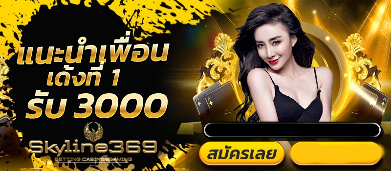 skyline369ทางเข้า