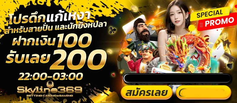skyline369ทางเข้า